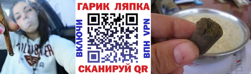 мега ONION  мориарти какой сайт  ГАШИШ индика сатива  Новосокольники 