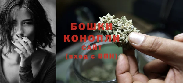 spice Бородино