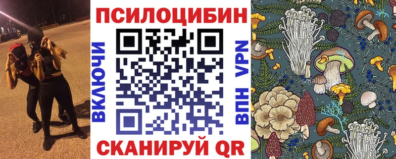 наркотики  блэк спрут ONION  Псилоцибиновые грибы мухоморы  Новосокольники 